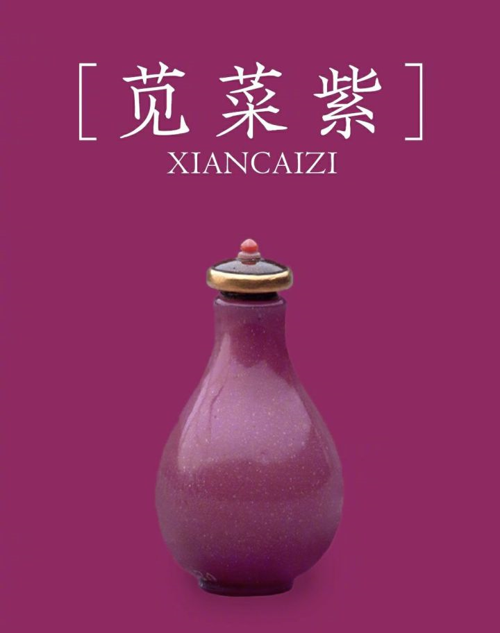 莧菜紫 無標(biāo)題.png